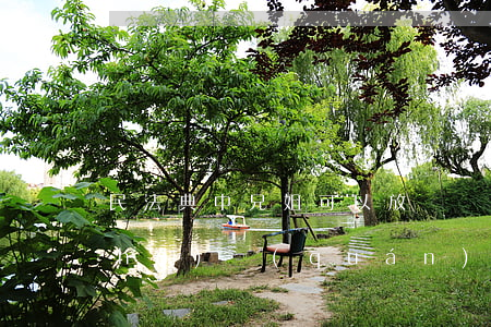 民法典中兄姐可以放棄監(jiān)護(hù)權(quán)嗎(監(jiān)護(hù)權(quán)被剝奪的法律后果)