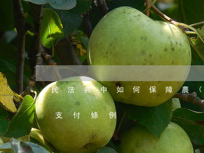 民法典中如何保障農(nóng)民工工資支付條例