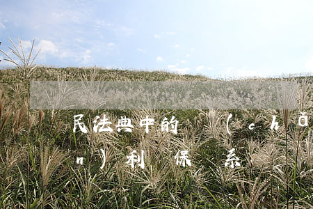 民法典中的動產(chǎn)和權(quán)利擔保體系