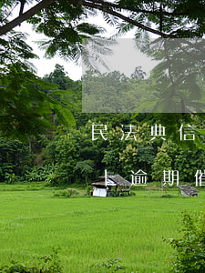 民法典信用卡逾期催收規(guī)范（信用卡逾期催收報告）