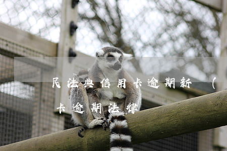 民法典信用卡逾期新規(guī)（解讀信用卡逾期法律）