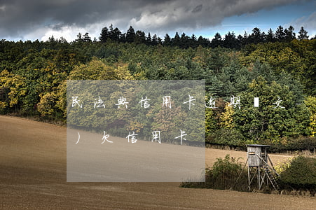 民法典信用卡逾期條文-民法典對(duì)欠信用卡