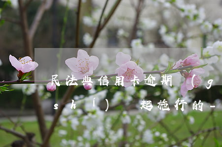 民法典信用卡逾期規(guī)定什么時(shí)間起施行的-民法典信用卡逾期規(guī)定什么時(shí)間起施行的