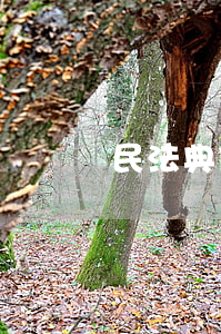 民法典借了高利貸可以不還嗎(民法典放高利貸)