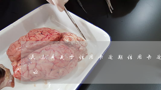 民法典关于信用卡逾期（信用卡逾期违约金诉讼）