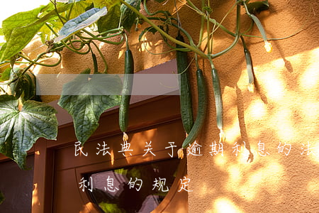 民法典关于逾期利息的法律规定 法律对逾期利息的规定
