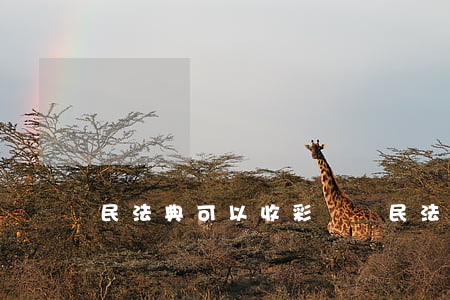 民法典可以收彩禮嗎(民法典給彩禮犯法嗎)