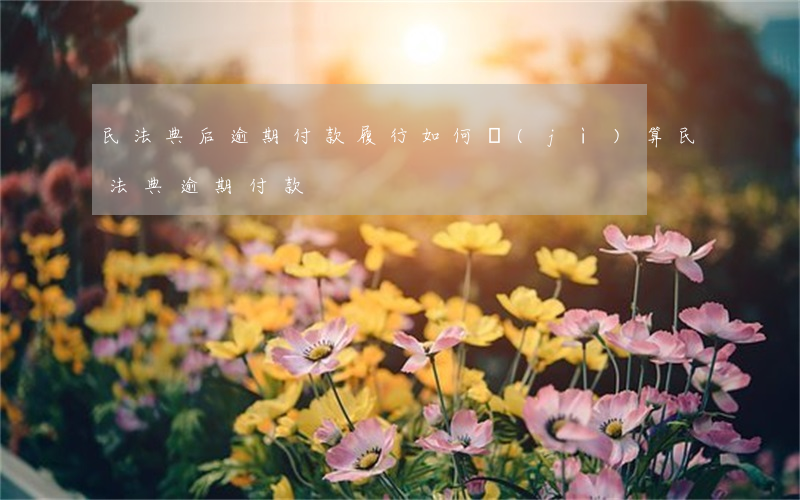 民法典后逾期付款履行如何計(jì)算(民法典逾期付款)