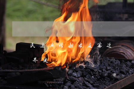 民法典婚姻家庭篇近親屬和家庭成員的范圍界定