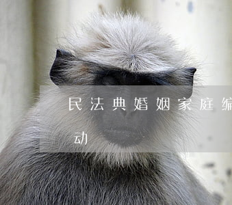 民法典婚姻家庭编中协议离婚与起诉离婚变动