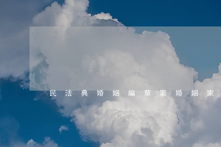 民法典婚姻編草案(婚姻家庭民法典草案)