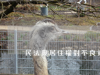 民法典居住權對不良資產處置