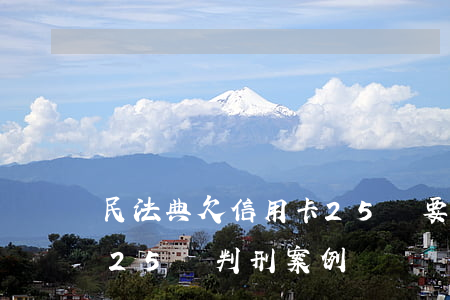 民法典欠信用卡25萬要判幾年-欠信用卡25萬判刑案例
