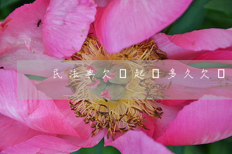 民法典欠錢起訴多久(欠錢民事起訴多久開庭)
