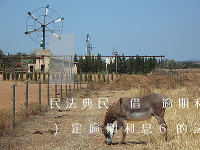 民法典民間借貸逾期利息的法律規(guī)定（逾期利息6的法律規(guī)定民法典）