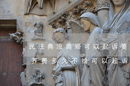民法典没离婚可以起诉要抚养费吗(离婚后抚养费多久不给可以起诉)