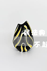 民法典 無力償還債務(wù)-民法典欠債還不起