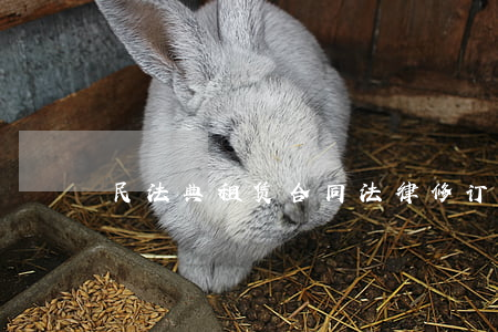 民法典租赁合同法律修订