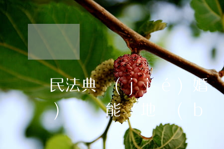 民法典結(jié)婚證可以異地補(bǔ)辦嗎(能異地補(bǔ)辦結(jié)婚證嗎)