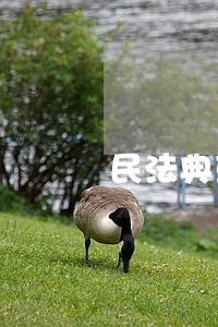 民法典草案拟引入离婚冷静期