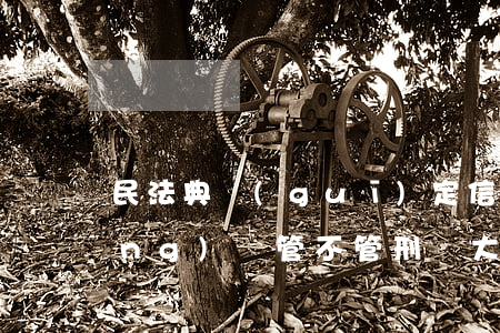 民法典規(guī)定信用卡逾期經(jīng)偵管不管 刑偵大隊管信用卡逾期嗎