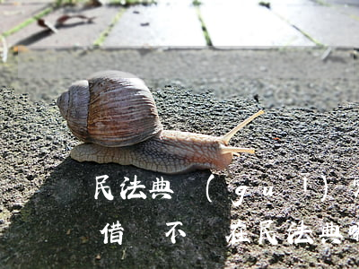 民法典規(guī)定借錢不還可以打他嗎(借錢不還在民法典哪一條)