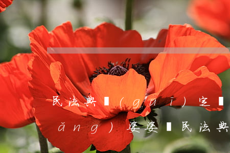 民法典規(guī)定兒媳可以不贍養(yǎng)婆婆嗎(民法典規(guī)定婆婆不給看孩子,兒媳不贍養(yǎng)婆婆)