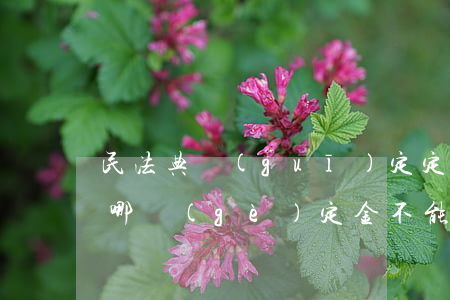民法典規(guī)定定金可以退嗎(法律上哪個(gè)定金不能退)