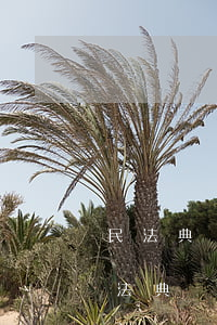 民法典規(guī)定無(wú)力償還(民法典對(duì)實(shí)在沒(méi)有還款能力的)