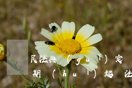 民法典規(guī)定網(wǎng)貸逾期會(huì)起訴法院嗎(民法典規(guī)定網(wǎng)貸逾期會(huì)起訴法院嗎)