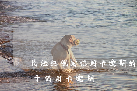 民法典规定信用卡逾期的应对办法 民法典对于信用卡逾期