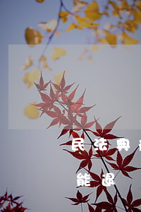 民法典规定定金可以退吗(法律上哪个定金不能退)