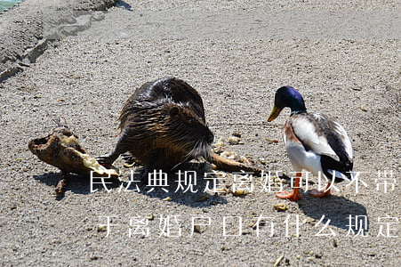 民法典规定离婚可以不带户口本吗(民法典关于离婚户口有什么规定)