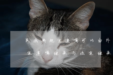 民法典规定遗嘱可以由外人继承吗(民法典规定遗嘱继承与法定继承)