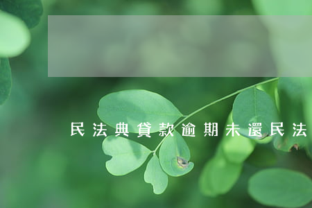 民法典貸款逾期未還(民法典欠款不還)