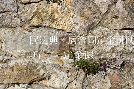 民法典購房合同定金可以退嗎(二手房買賣買方違約,定金退嗎)