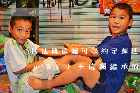 民法典遺囑可以約定遲延繼承嗎(民法關(guān)于遺囑繼承的規(guī)定)