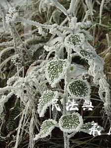民法典遺囑繼承的房子可以賣嗎(民法典無遺囑繼承房產)