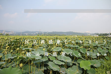 民法典遺產(chǎn)繼承公證該怎么做(民法典遺產(chǎn)繼承新規(guī)定需要公證嗎)