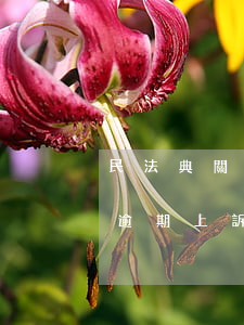 民法典關(guān)于信用卡逾期（信用卡逾期上訴費(fèi)用）