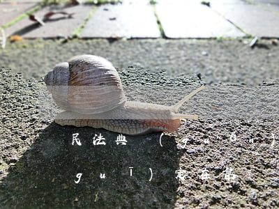 民法典關(guān)于信用卡逾期的規(guī)定在第幾條-民法典關(guān)于信用卡逾期的規(guī)定在第幾條