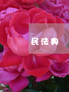 民法典關(guān)于欠錢不還