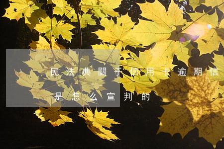 民法典關于信用卡逾期（信用卡逾期一般法院是怎么宣判的）