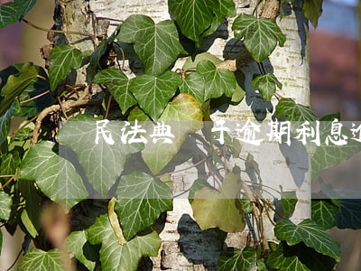 民法典關于逾期利息（逾期民事賠償有利息嗎）