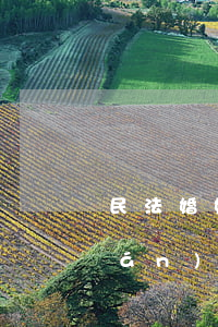 民法婚姻法離婚撫養(yǎng)權(quán)(離婚撫養(yǎng)權(quán)判定)