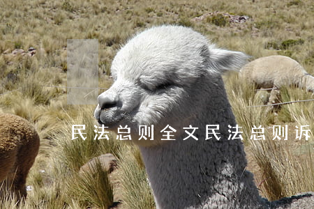 民法总则全文(民法总则诉讼时效)