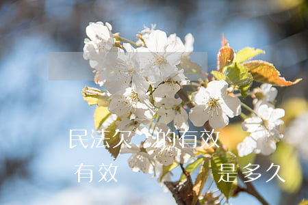 民法欠條的有效訴訟時間是多久(民法欠條的有效訴訟時間是多久)