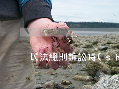 民法總則訴訟時(shí)效