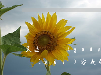 民法總則關(guān)于個人信息安全的內(nèi)容是什么（保護(hù)網(wǎng)絡(luò)隱私的方法）