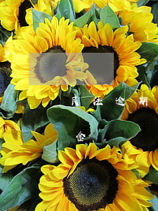 民法逾期滯納金(逾期產(chǎn)生滯納金)